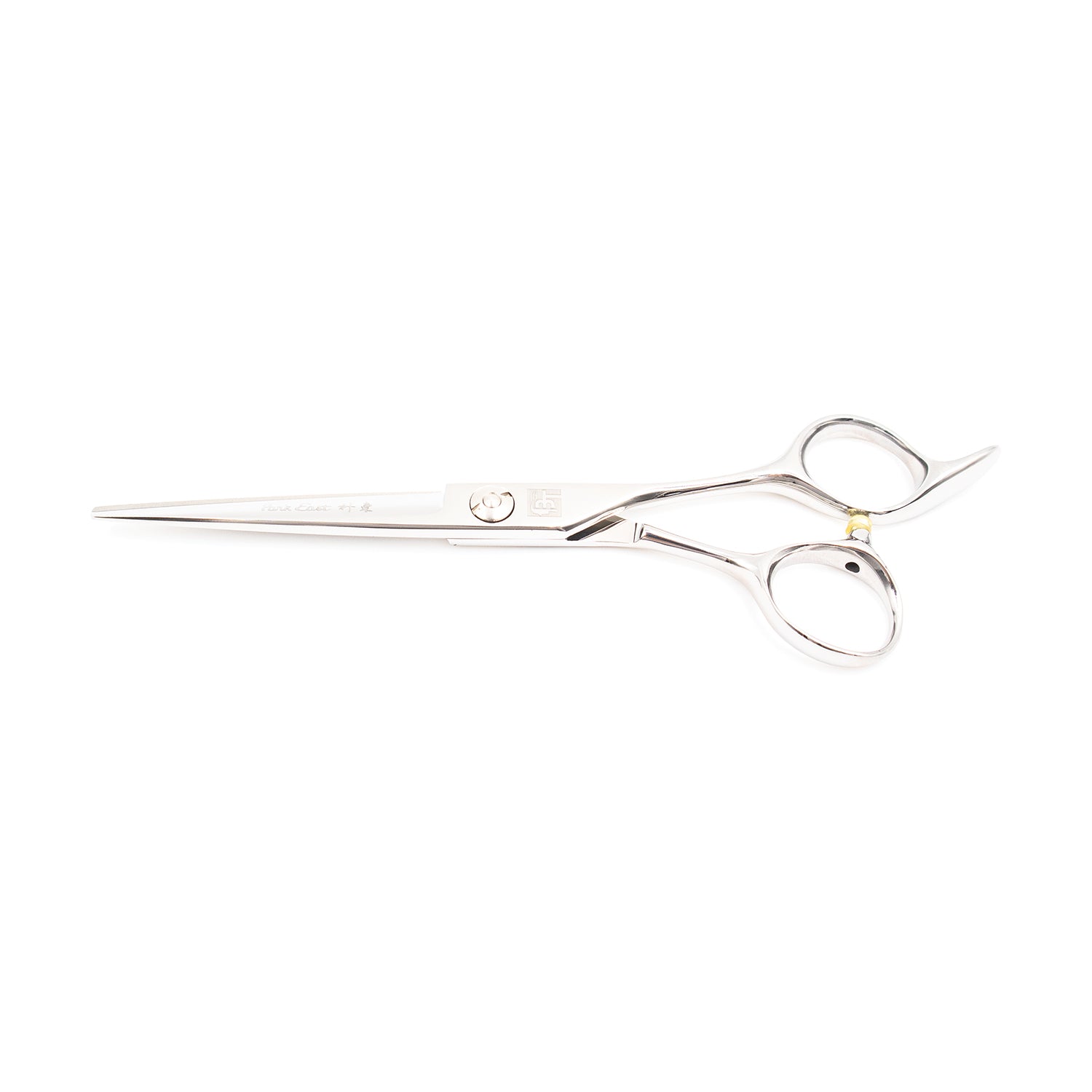 Professional 6" Salon Hair Cutting Scissors (9CR Steel)