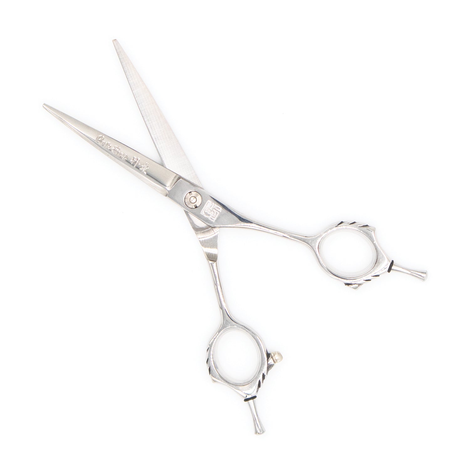 Professional 6" Salon Hair Cutting Scissors (9CR Steel)