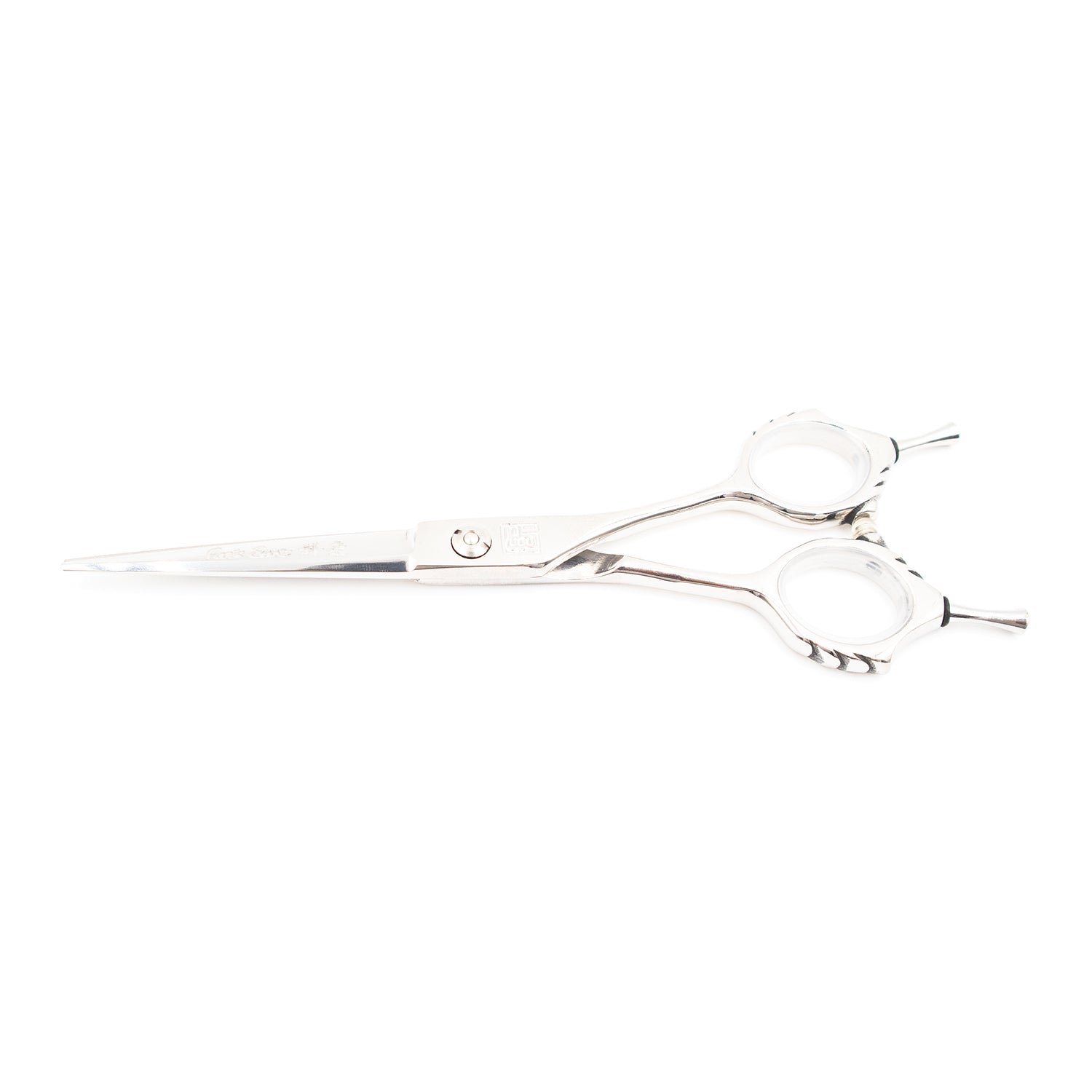 Professional 6" Salon Hair Cutting Scissors (9CR Steel)